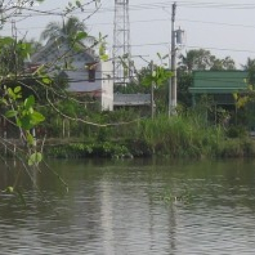 BA HẠNG NGƯỜI TRONG XÃ HỘI